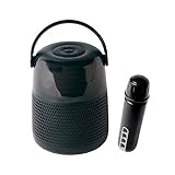 ライソン、カラオケができる「よいどれスピーカー&マイク」 - 価格.com